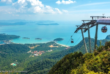 Langkawi Mangrove Forest (B, L)