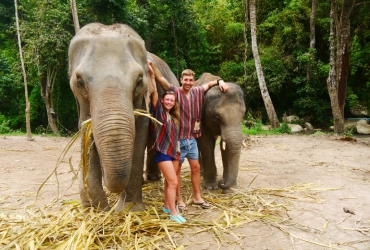 Chiang Mai – Elephant Jungle Sanctuary (B, L)