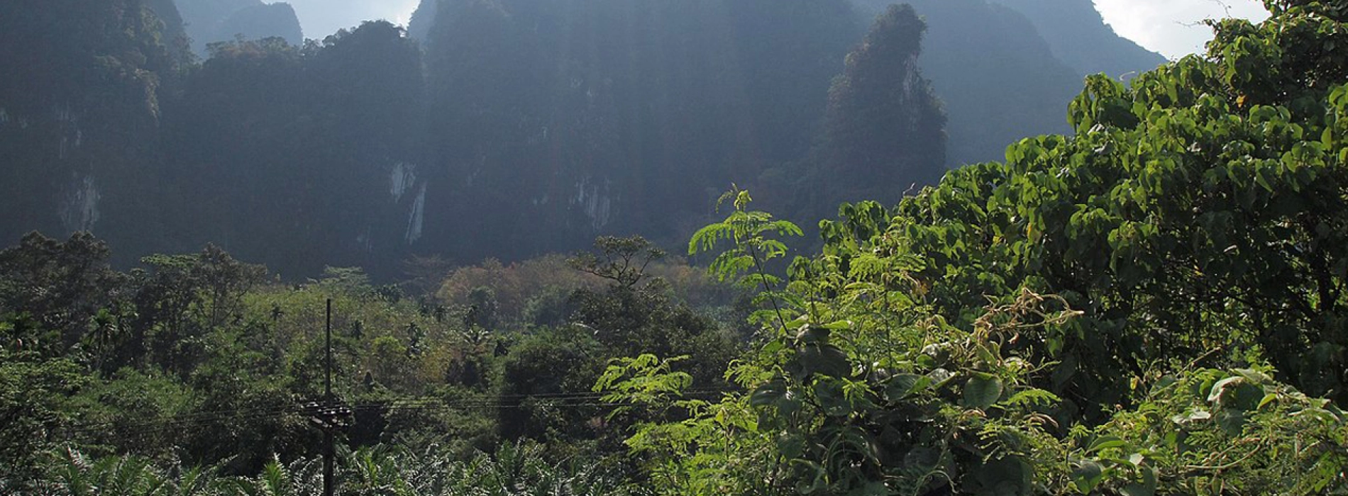 Khlong Phanom National Park