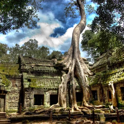 Ta Prohm