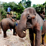 Luang Prabang Tour 4 Days: A Beautiful Ancient City