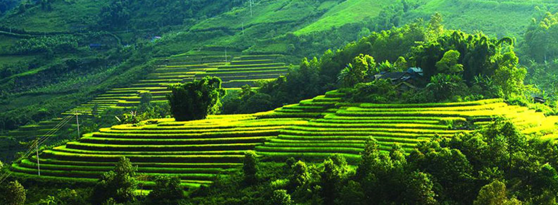 TOP 10 Best Places for Trekking in Vietnam