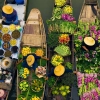 The BEST Bangkok Exploring floating markets 2024