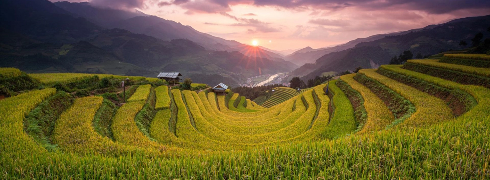 Is Mu Cang Chai really a must-visit in Vietnam?