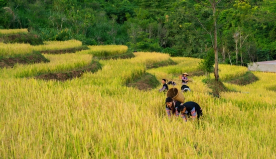 Mai Chau Trekking Tour 2 days: From Mai Chau to Hang Kia