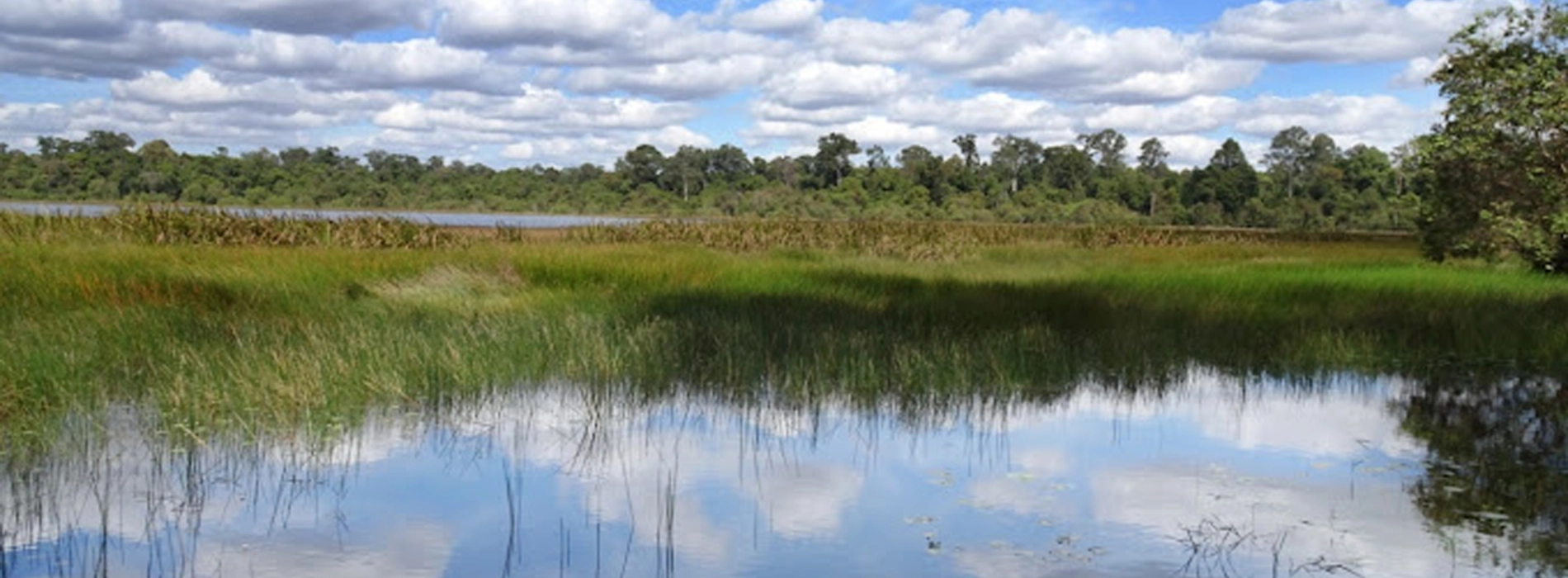 Dong Natad National Protected Area