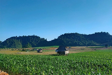 Mon- Sat Thuong village (B, L, D)