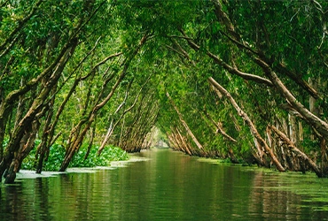 Can Tho – Chau Doc- Tra Su forest (B)
