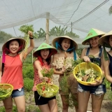 Vietnam Food Tour 10 days: Vietnamese Cuisine Experience