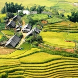 Sapa Trekking Tour 5 Days: From Hanoi to Muong Hoa Valley