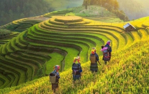 Northern Vietnam Tour 10 days: In-Depth Discovery