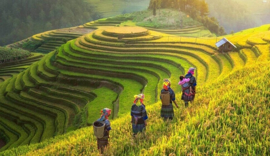 Northern Vietnam Tour 10 days: In-Depth Discovery