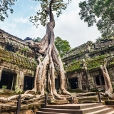 Cambodia Luxury Tour 6 days: Sweetie Journey