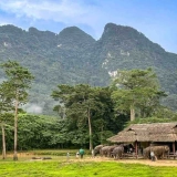 South Thailand Tour 9 days: Rainforest Khao Sok & beautiful Koh Tao