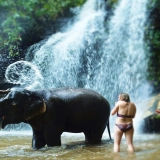 North Thailand Trekking Tour 5 days: Chiang Mai's Tribes and Elephants