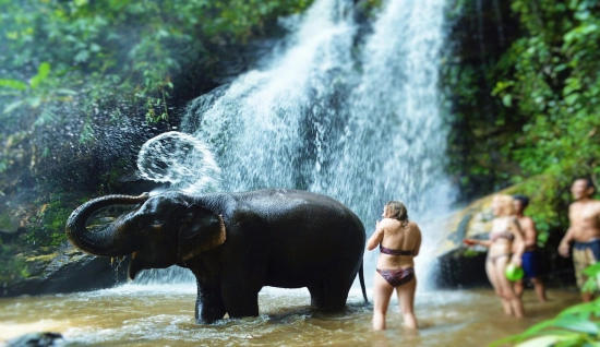 Chiang Mai Trekking Tour 5 days: Exploring Tribes and Elephants