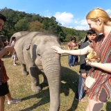 North Thailand Trekking Tour 5 days: Chiang Mai's Tribes and Elephants