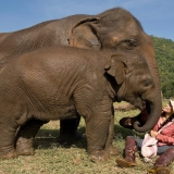 Chiang Mai Trekking Tour 5 days: Exploring Tribes and Elephants