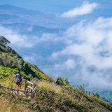 North Thailand Trekking Tour 4 days: Chiang Mai - Doi Khuntan National Park