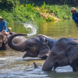 Lampang Tour 3 days: The Elephants Conservation Center