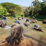 Lampang Tour 3 days: The Elephants Conservation Center