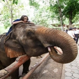 Lampang Tour 3 days: The Elephants Conservation Center