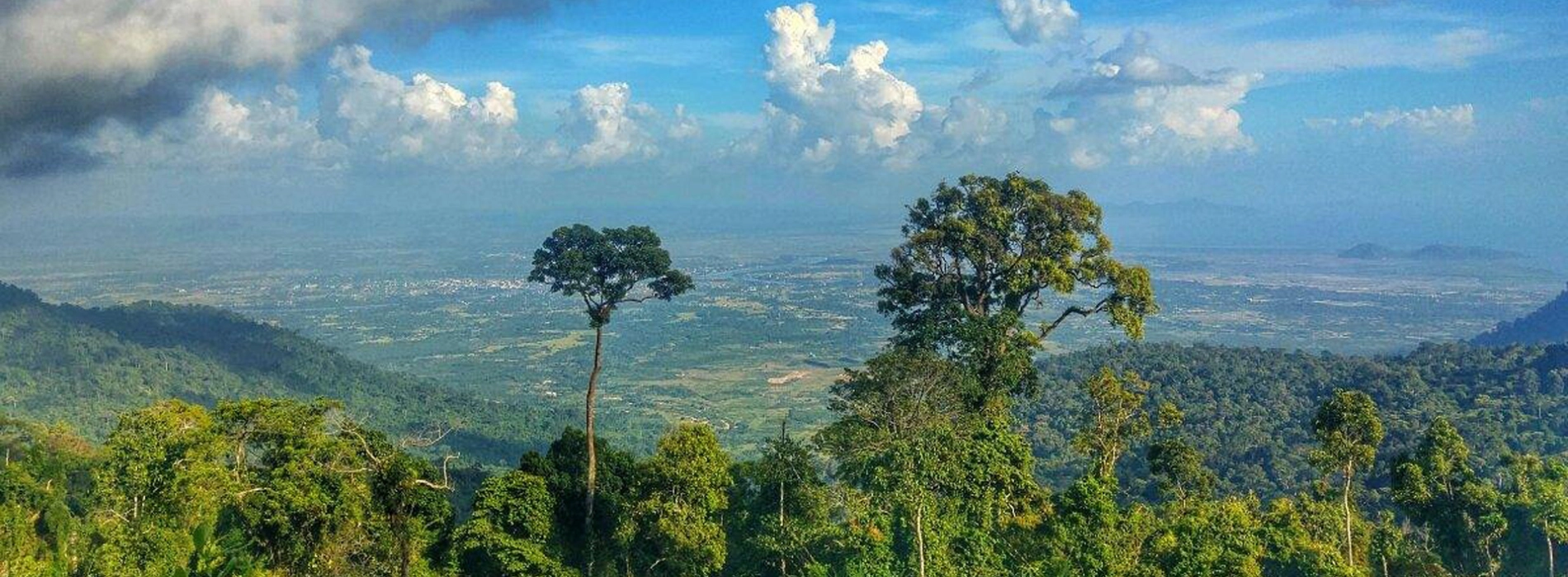 Bokor National Park