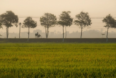 Day trip: Riding bike in the countryside of Hoi An