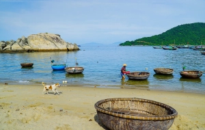 1-day Tour in Center Vietnam: Cu Lao Cham Island Discovery