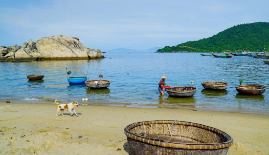 Cu Lao Cham Tour 1-day: Discovery Cu Lao Cham Island