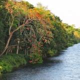 Hue Tour Full-day: Cruise trip on Perfume River