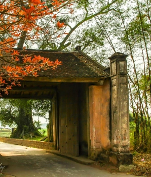 Ha Noi Tour 1 day: Duong Lam Ancient Village