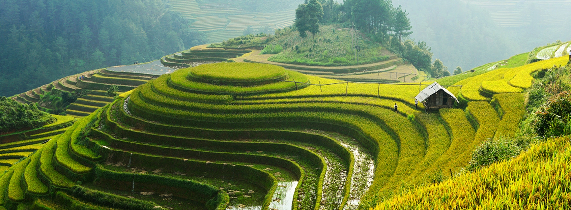 VIETNAM - A LAND OF CLIMATIC AND NATURAL DIVERSITY