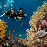 Underwater 1-day Adventure in Phu Quoc