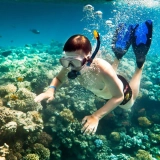 Snorkeling Tour: 1 day in Nha Trang