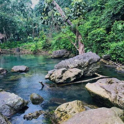 Xuan Son National Park