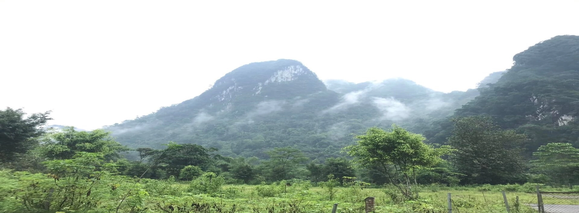 Xuan Son National Park