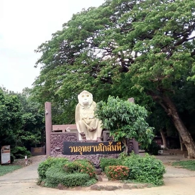 Kosamphi Forest Park