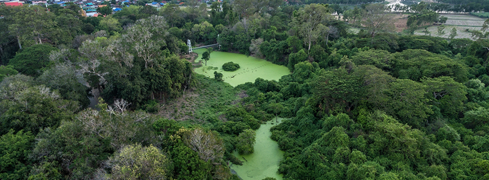 Kosamphi Forest Park