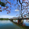 Schedules for a 5-day tour in Hue for the best experience