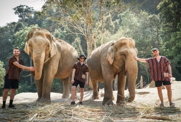 Chiang Mai - Elephant Jungle Sanctuary (B, L) Join tour