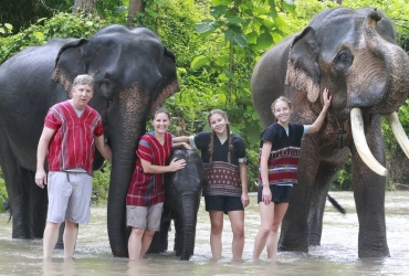 Chiang Rai City - Elephant Riding (B)