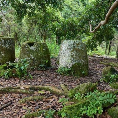 Plain Of Jars