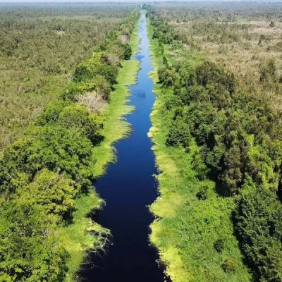 U Minh Ha National Park