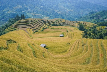 Hoang Su Phi Trekking tour (Nam Khoa Commune) (B, L, D)