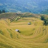 Ha Giang Tour 9 days: An Epic Ha Giang Adventure