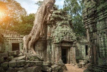 Siem Reap Angkor Temples (B, L)