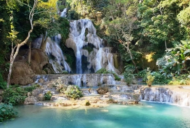 Luang Prabang- City tour- Kuang Si waterfall (B)