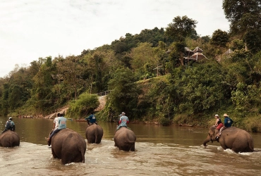 Luang Prabang – Elephant Village (B)