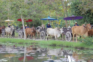 Village Ox-cart ride – Homemade Lunch – Floating Village (B, L)